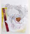 collage_39