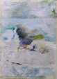 collage_41