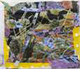 collage_56