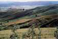 Toscana-3